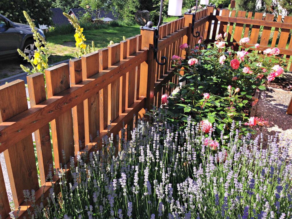 B&B Na Kopecku Рокитніце-над-Їзероу Екстер'єр фото